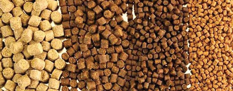 Animal Feed Bentonite 4