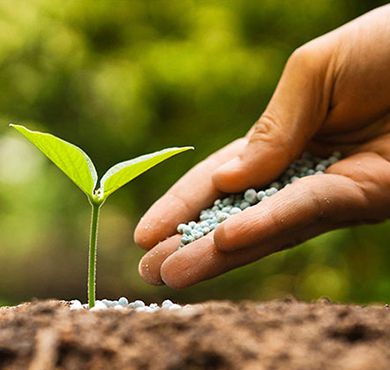 Fertilizers Bentonite 3