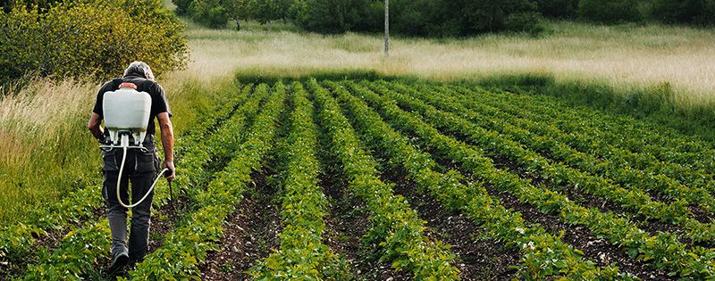 Fertilizers Bentonite 4